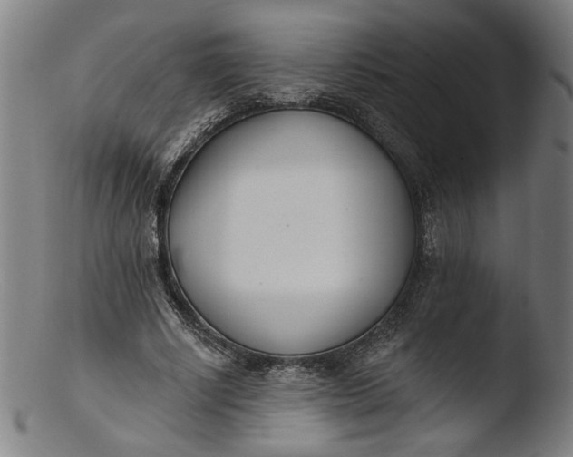 X0000103400634200809261620