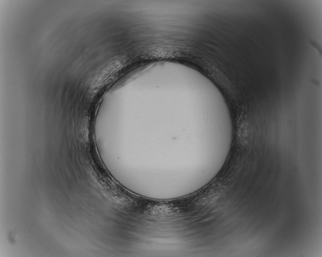 X0000103400635200809261620