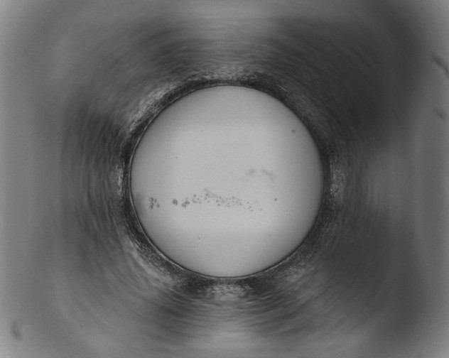 X0000103400636200809261620