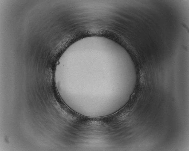 X0000103400637200809261620