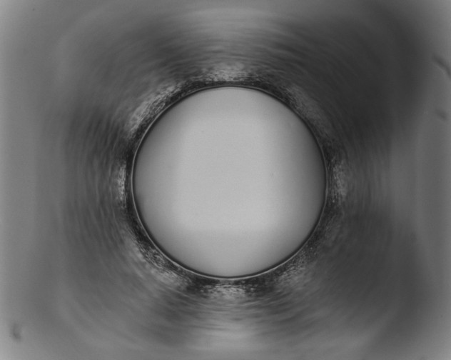 X0000103400640200809261620