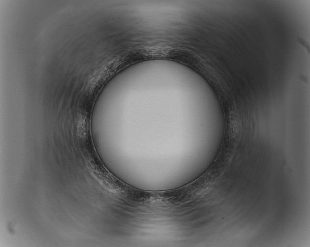 X0000103400641200809261620