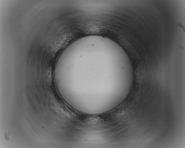 X0000103400642200809261620