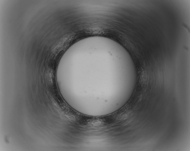 X0000103400643200809261620