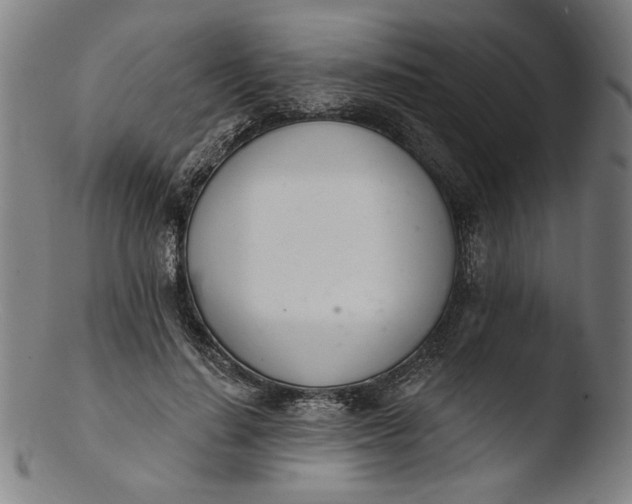 X0000103400644200809261620