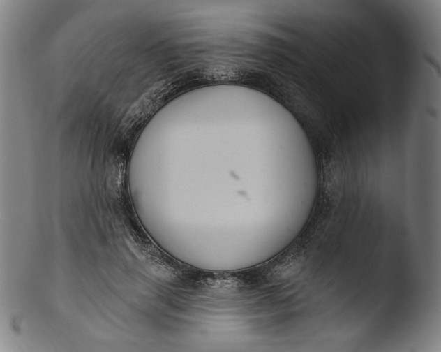 X0000103400645200809261620