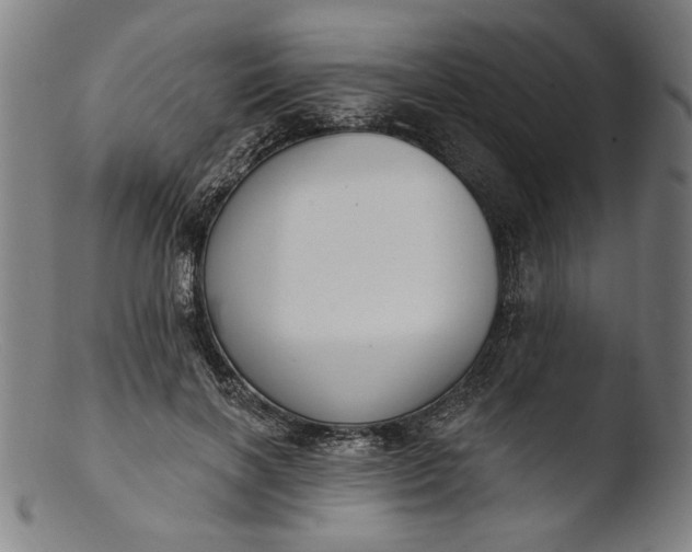 X0000103400646200809261620