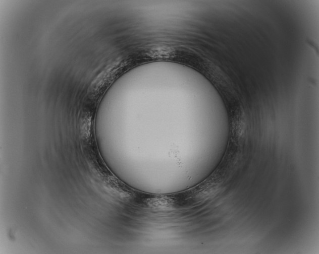 X0000103400652200809261620