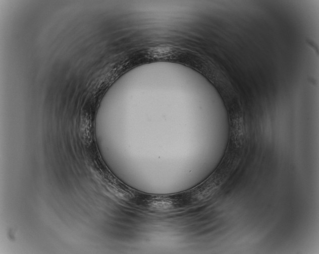 X0000103400653200809261620