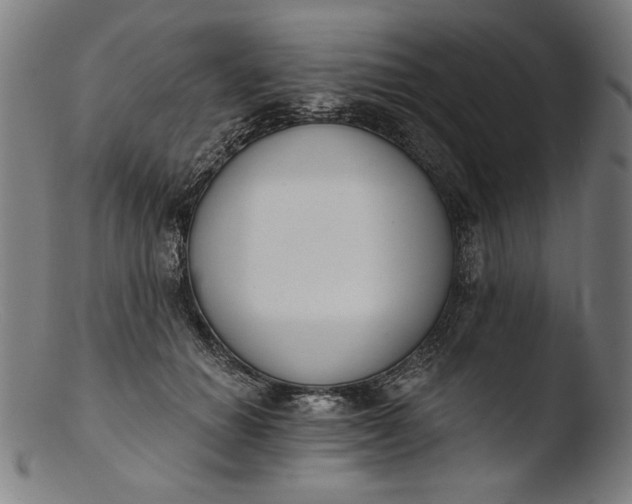 X0000103400654200809261620