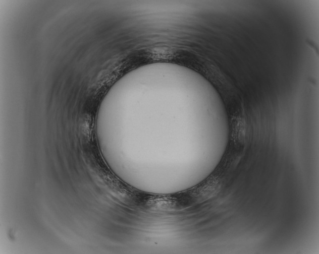 X0000103400655200809261621