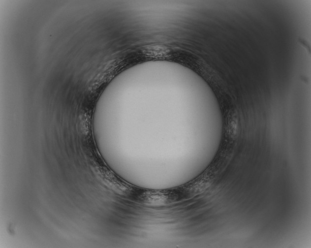 X0000103400658200809261621