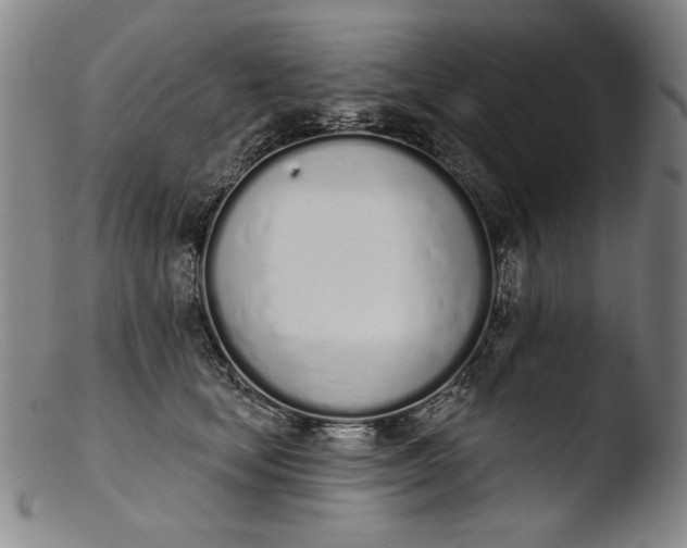 X0000103400659200809261621