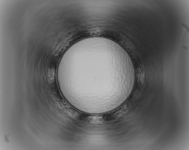 X0000103400660200809261621