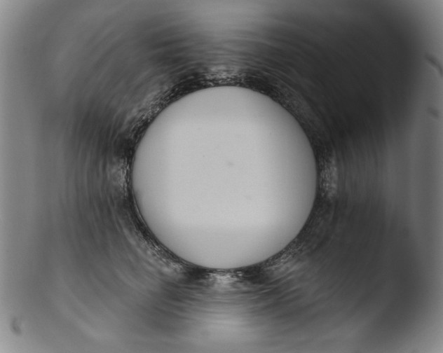 X0000103400662200809261621