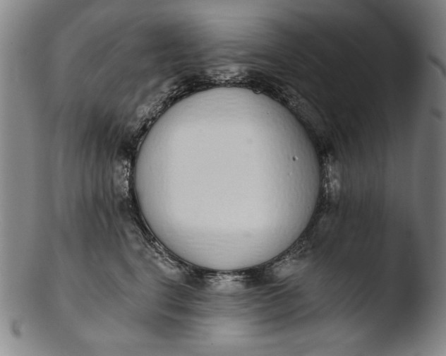 X0000103400664200809261621