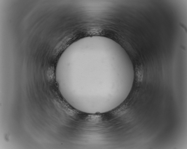 X0000103400665200809261621