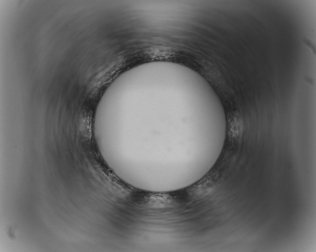 X0000103400666200809261621