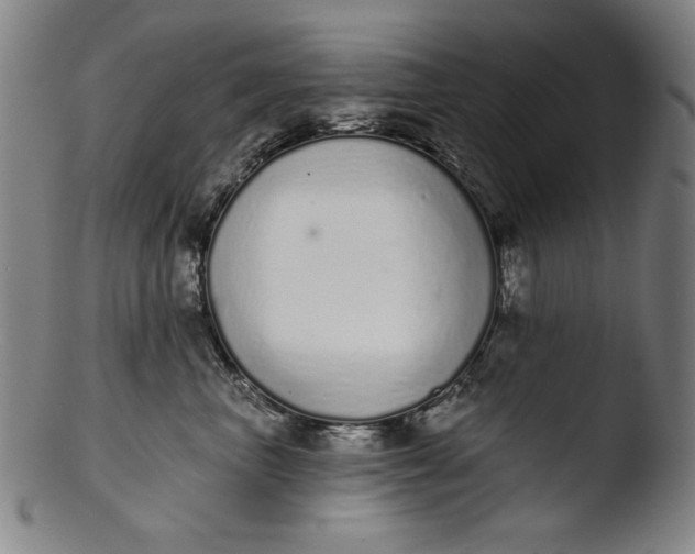 X0000103400667200809261621