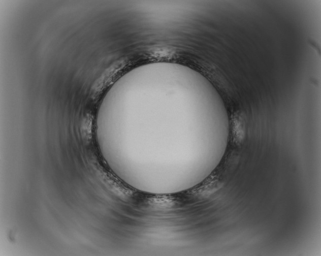 X0000103400668200809261621