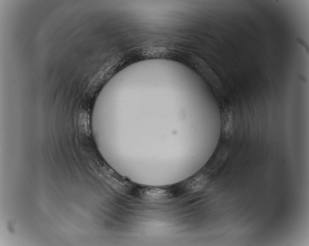 X0000103400669200809261621