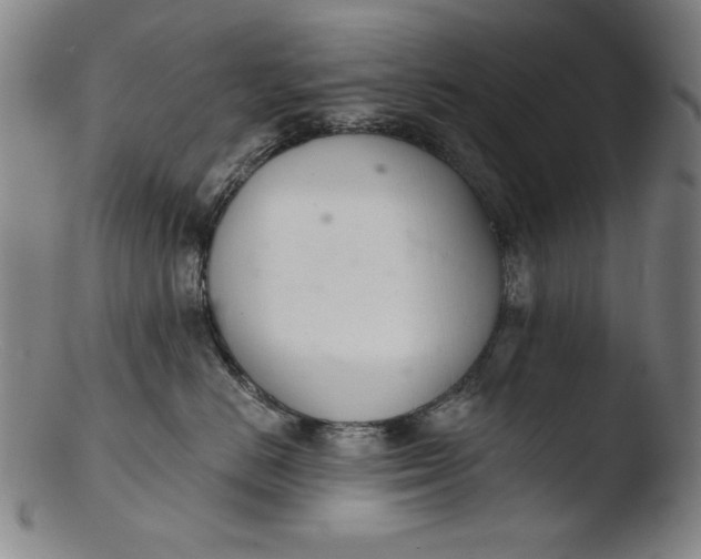 X0000103400670200809261621