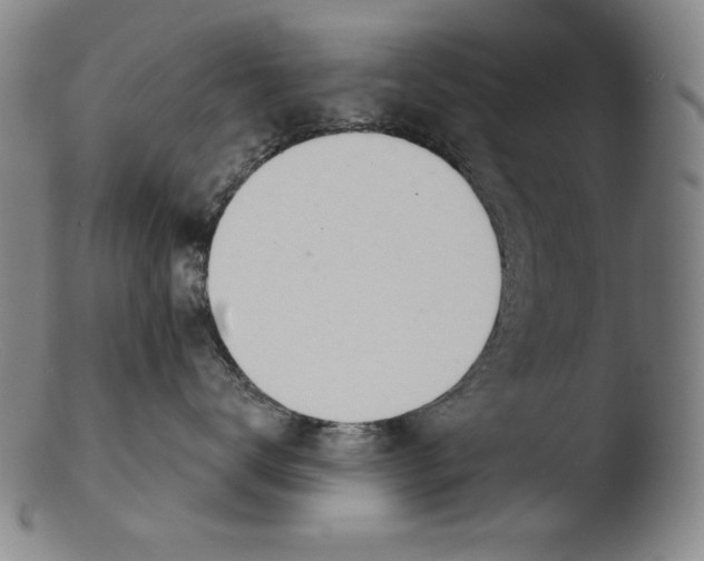 X0000103400672200809261621