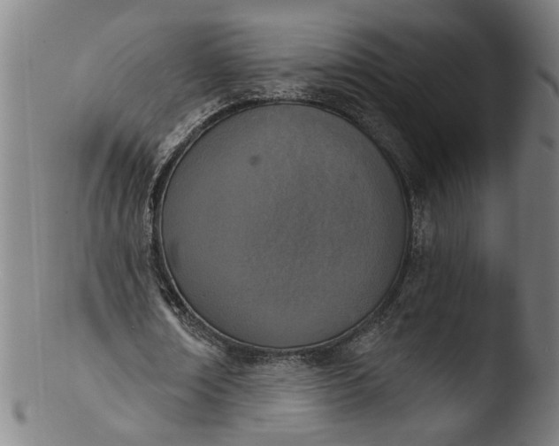 X0000103400674200809261620