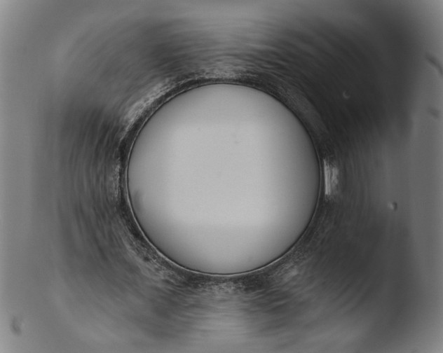 X0000103400675200809261620