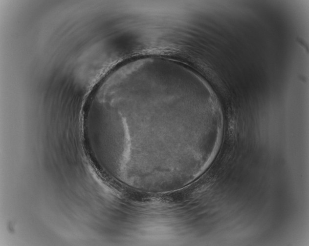 X0000103400678200809261620