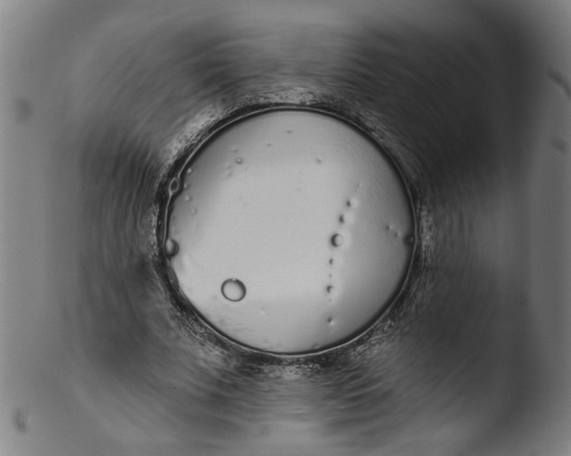 X0000103400679200809261620