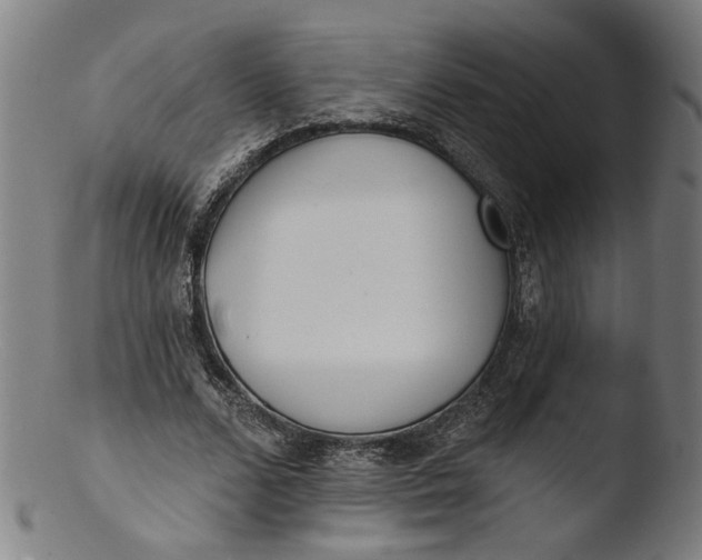 X0000103400680200809261620