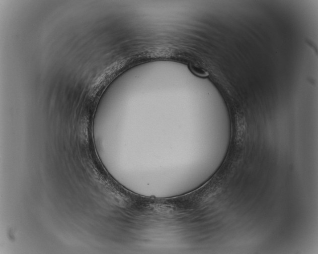 X0000103400681200809261620