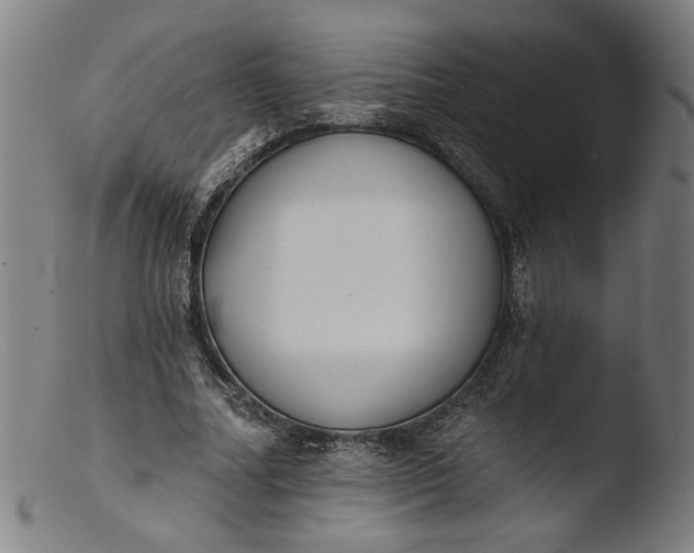 X0000103400682200809261620