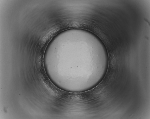 X0000103400683200809261620