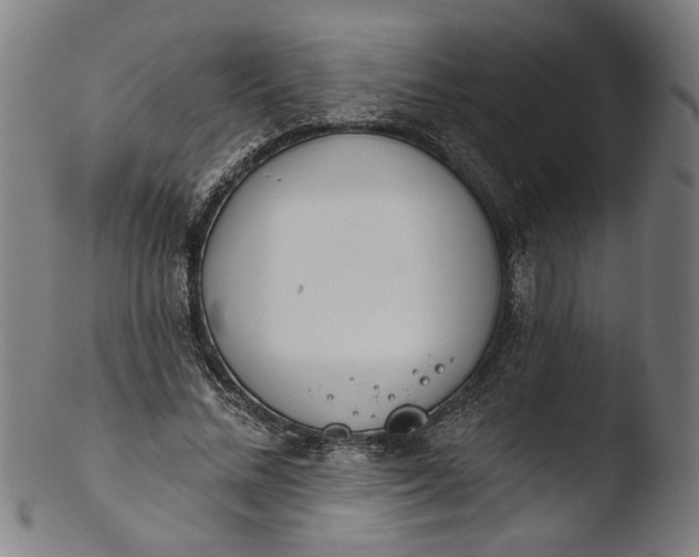 X0000103400684200809261620