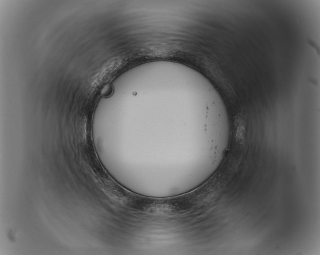 X0000103400685200809261620