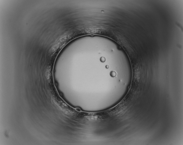 X0000103400687200809261620