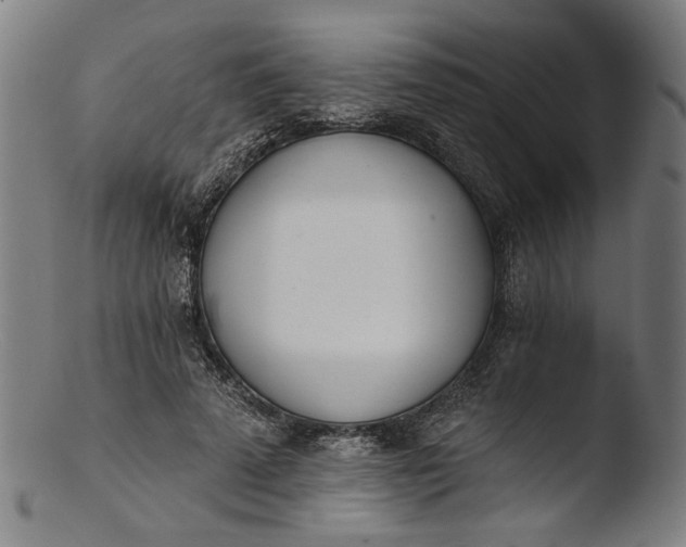 X0000103400689200809261620