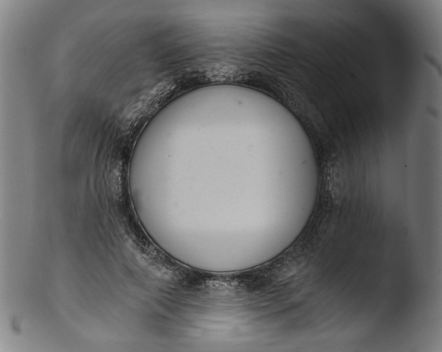 X0000103400690200809261620