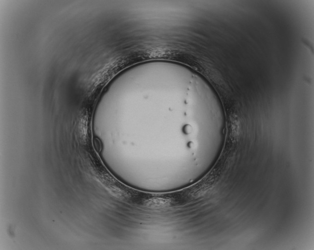 X0000103400691200809261620