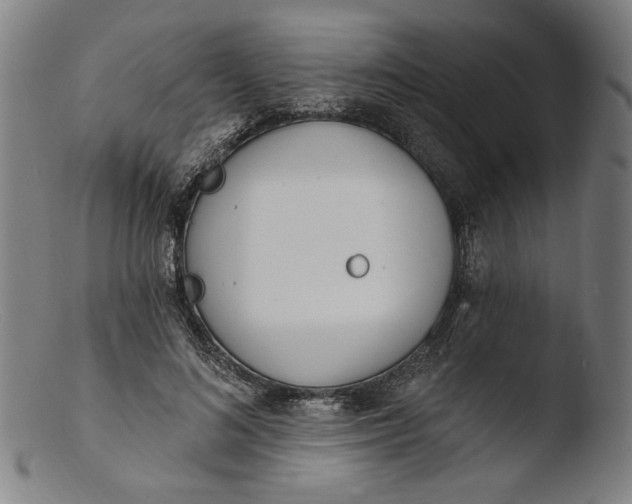 X0000103400692200809261620