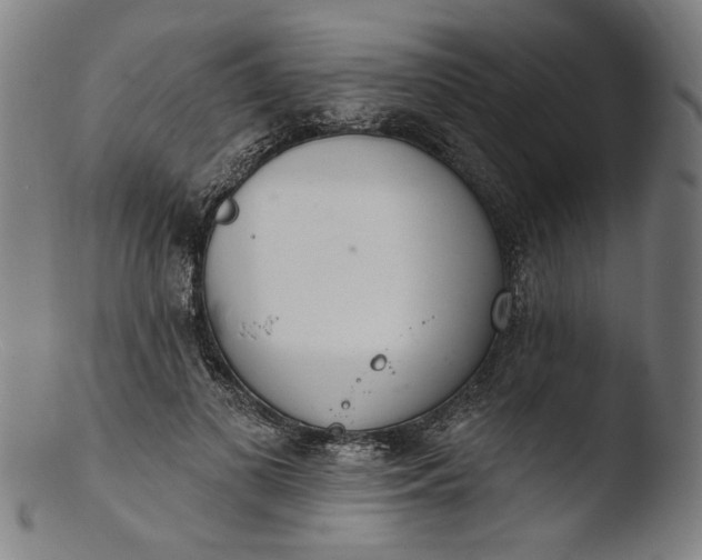 X0000103400693200809261620