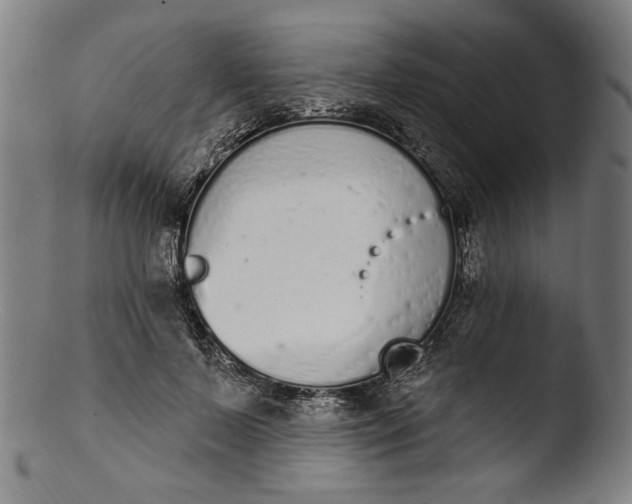 X0000103400695200809261620