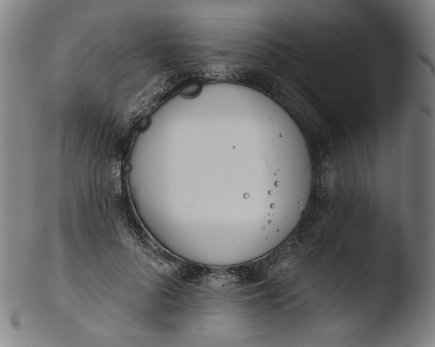 X0000103400696200809261620