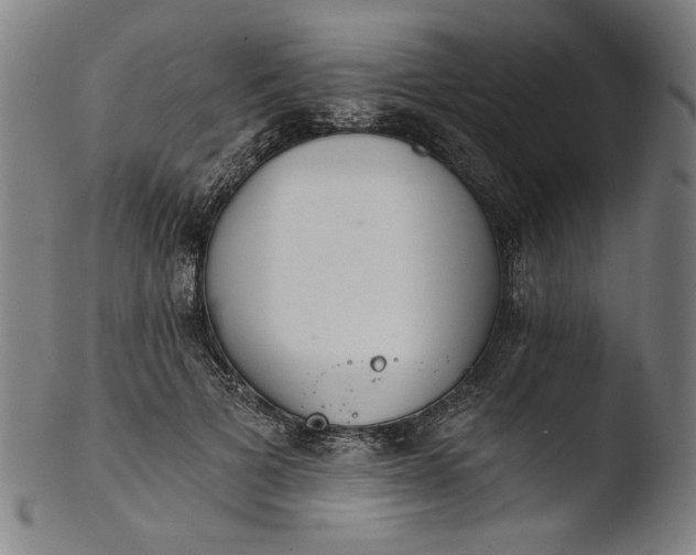 X0000103400697200809261620