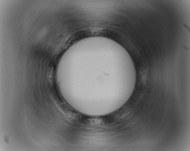 X0000103400698200809261620