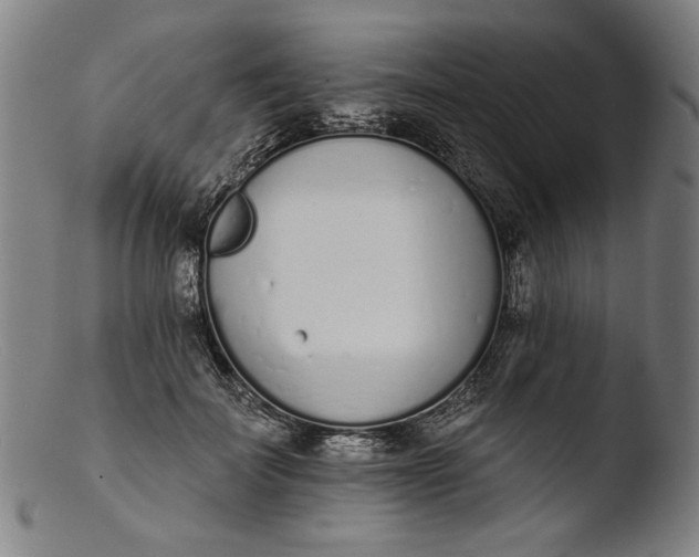 X0000103400699200809261620