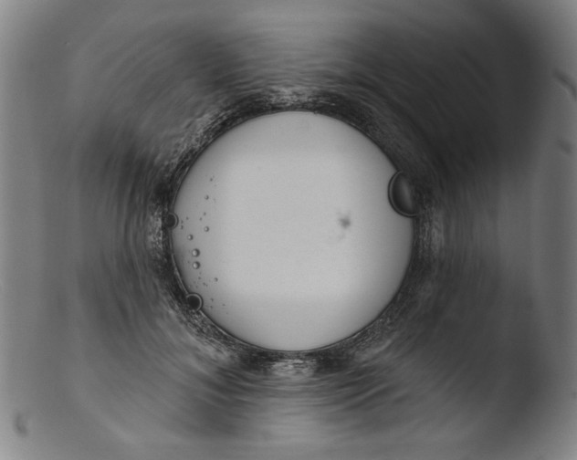 X0000103400700200809261620