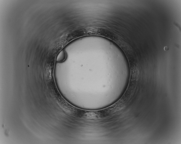 X0000103400703200809261619